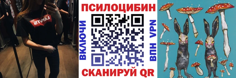 Псилоцибиновые грибы прущие грибы  Купить где  Юхнов 